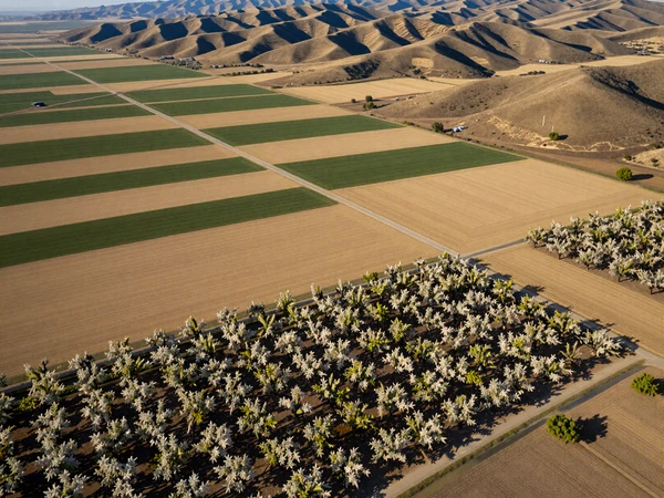California Central Valley farmland with almond orchards and agricultural fields stretching to Sierra Nevada foothills