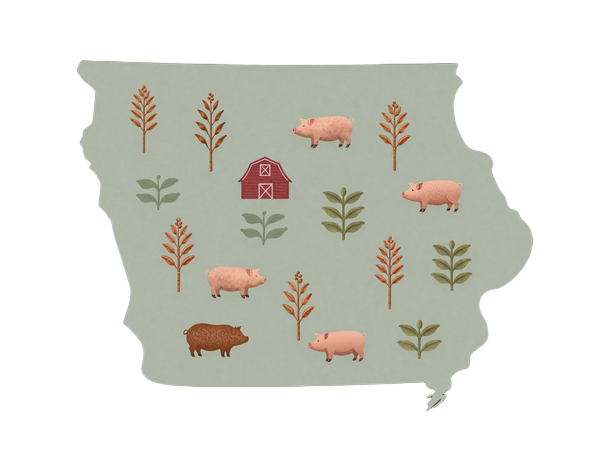 Illustrated map of Iowa showing key farming regions for corn, soybeans, and hog production